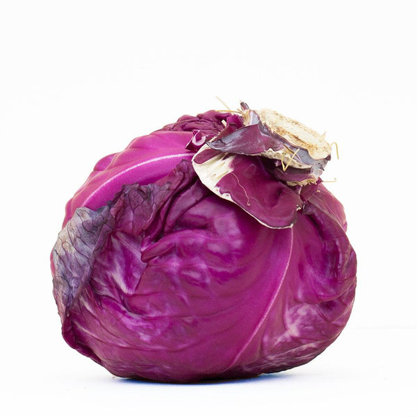 Organic Red Cabbage (avg. price)