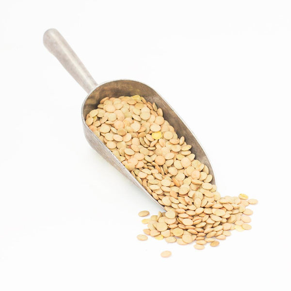 Green Lentils 500g