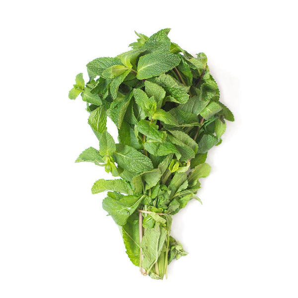 Fresh Mint