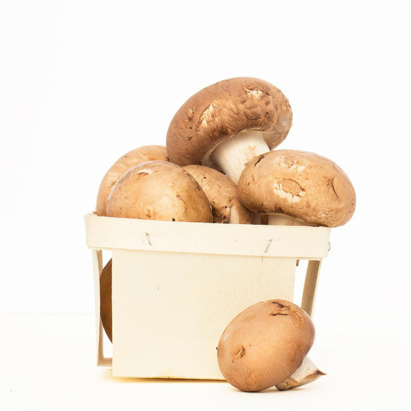 Champignons Crimini biologiques