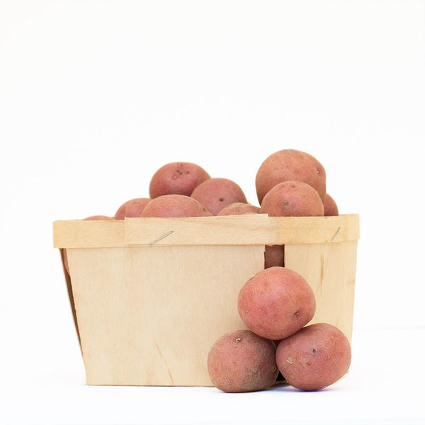 Petites pommes de terre rouges biologiques - sac de 1 lb