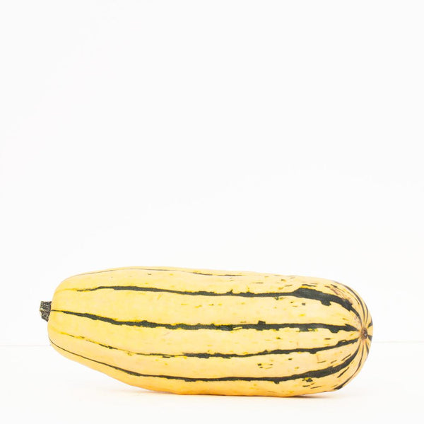 Courge Delicata biologique (prix moyen)