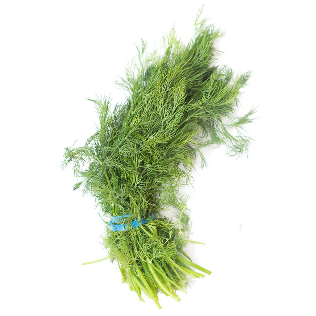 Organic Dill