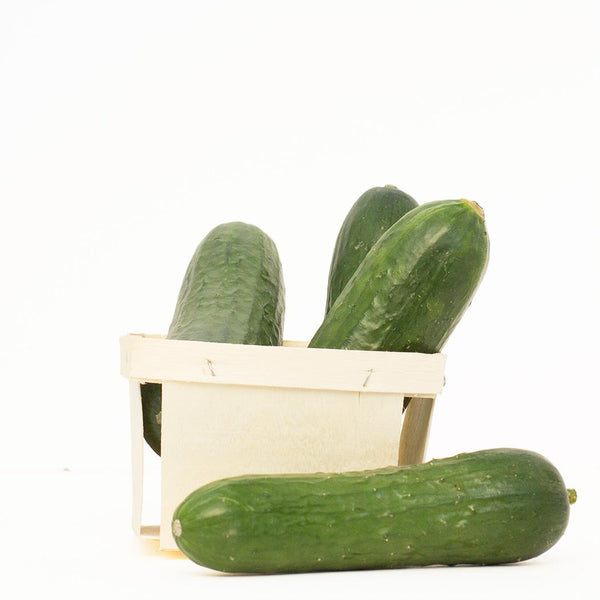 Organic Mini Cucumber - Pack of 6