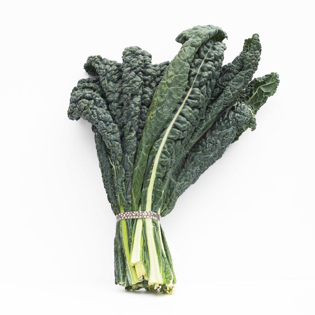 Organic Kale - Black Lacinato