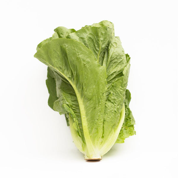 Organic Romaine Lettuce