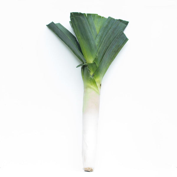 Organic Leek (avg. price)