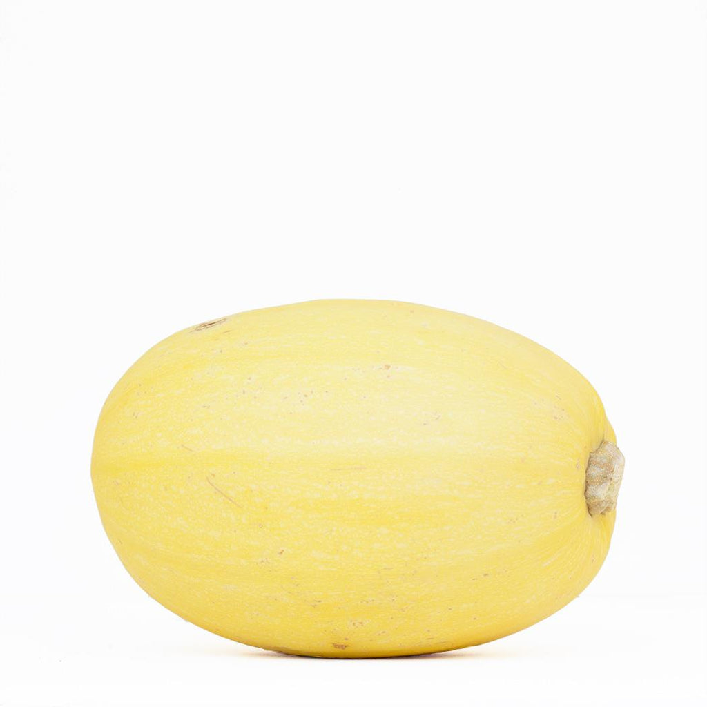 Organic Spaghetti Squash (avg. price)